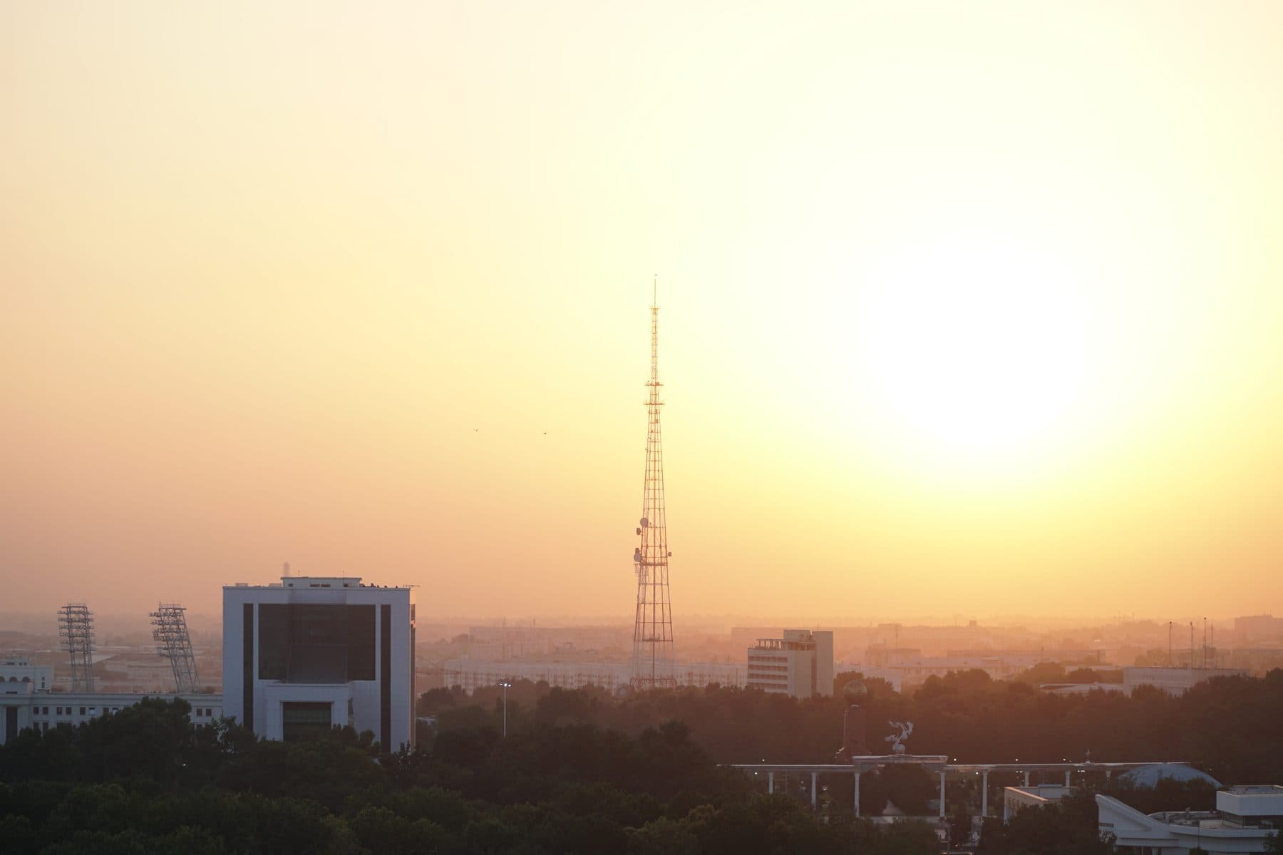 The Tashkent television tower at dusk above the tree canopy
